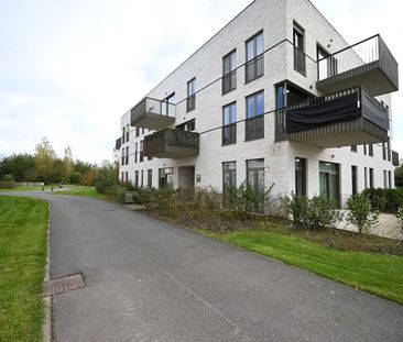 Appartement te huur in Ardooie - Foto 2