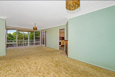 22 Leppington Street - Photo 5