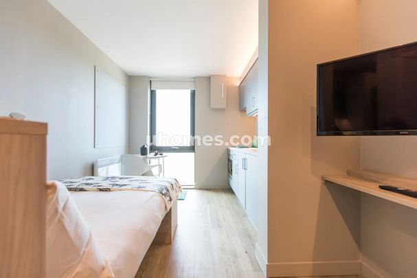 Bronze Studio - Photo 1