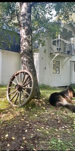 Flugtjärnsvägen, Sollefteå - Foto 4