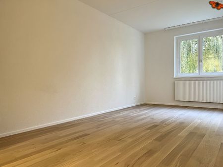 2 ½ PIECES - Quiet and close to amenities! - Photo 3