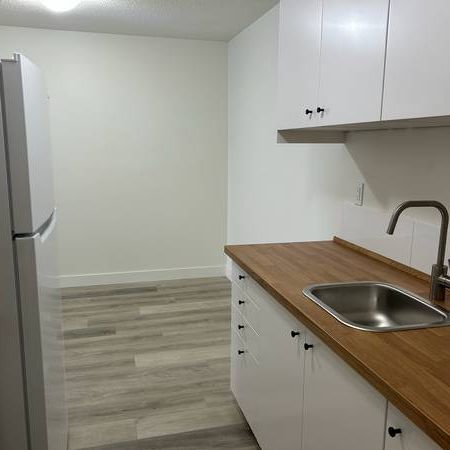 (DPMonline.ca) Updated One Bedroom at the Lexington - Photo 4