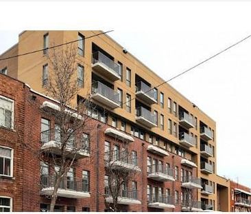Logement adapté pour personne à mobilité réduite - Photo 1