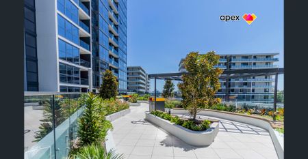 Two Bedroom Apartment plus Study - Photo 2