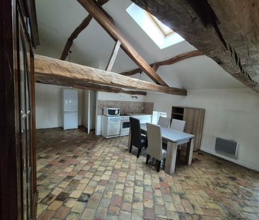 Location Appartement 1 pièce 53m² MACON 71000 - Photo 3