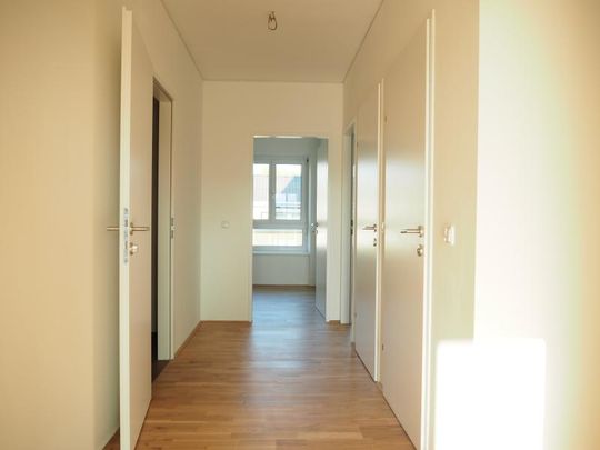 Toplage Urfahr! Ruhige 66 m² WNFL + 14 m² Terrasse, 3 Zimmer, Küche gegen Ablöse, optional Parkplatz im Innenhof! - Photo 1