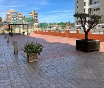 Apartment - Alicante (Pau V) - Photo 5