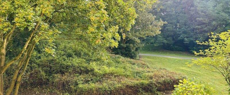 Leben. Lernen. Durchatmen. - Möblierte Wohnung mit Blick ins Grüne für Azubis & Studenten - Photo 1