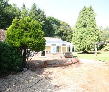 3 bedroom bungalow to rent - Photo 6