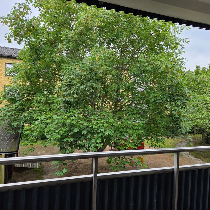 Måsvägen 2, Skurup - Photo 1