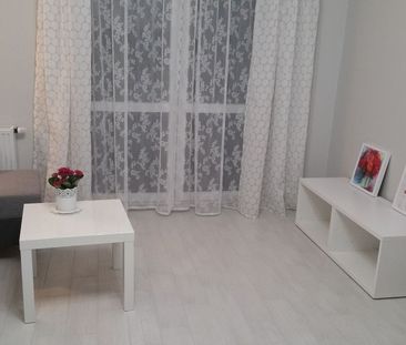 Mieszkanie, Zielona Góra, 2 pokoje - Photo 5