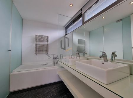 Kiseleff park one-of-a-kind penthouse For Rent - Photo 5