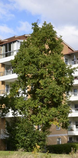 Lövlundsvägen, Nynäshamn - Foto 1