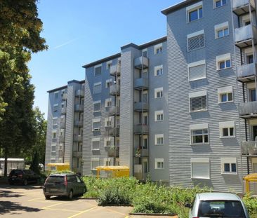 4 Zimmer-Wohnung in Volketswil mieten - Foto 2