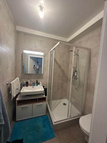 6 room apartment in Carouge - Photo 3