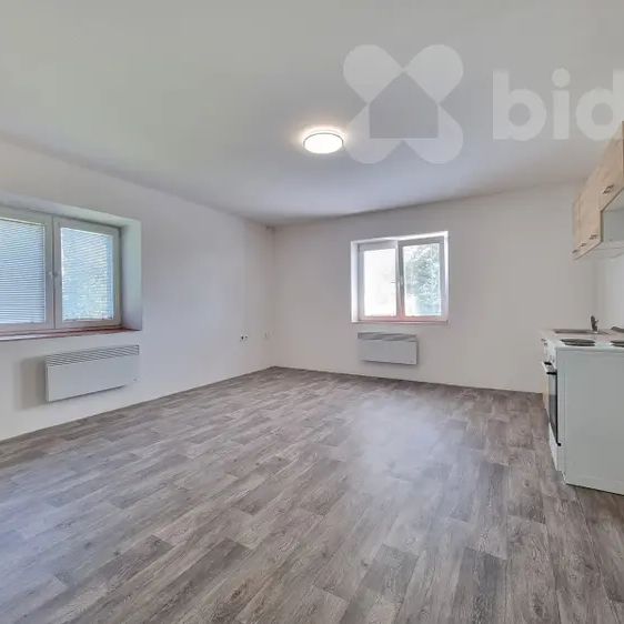 Pronájem cihlového bytu 1+kk v Prosenicích. - Fotografie 1
