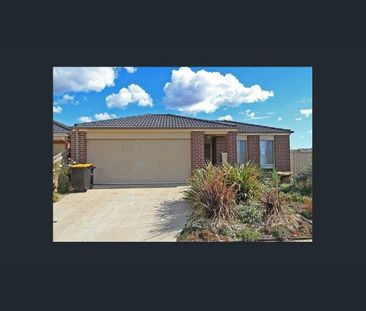 Family-Friendly & Warm - Photo 3