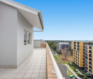 Top Floor Apartment - Photo 4