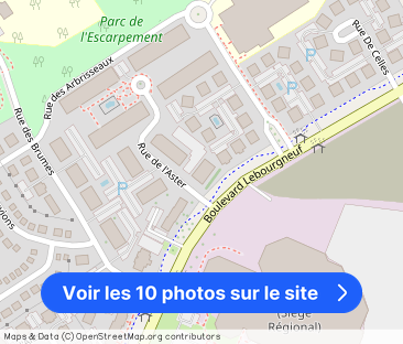 Domaine Lebourgneuf Apartments - Photo 1