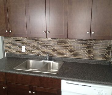 newly renovated Cathedral 2 bd character suite /fenced yard /gargae - Photo 2