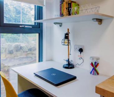 Classic Studio Plus - Photo 6