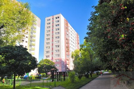 Komfortowa kawalerka na os. Zawadzkiego (440112) - Фото 2