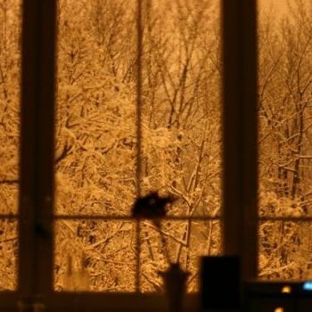 Apartament na wynajem, pl. Inwalidów, Warszawa Żoliborz - Фото 1