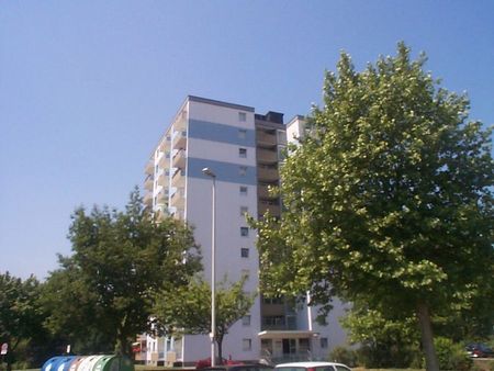 Demnächst frei! 2-Zimmer-Wohnung in Mönchengladbach Kamphausener Höhe - Photo 4