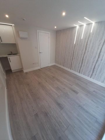 Studio Flat, Minster Rd, NW2 - Photo 2