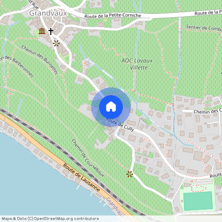 1091, Chenaux, Route De Cully, 21