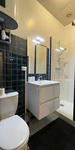 Location Appartement 1 pièce 24m² - Photo 4