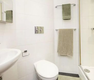 Deluxe Premium - Photo 2