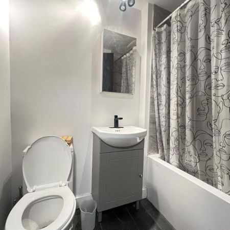 1 CH - 1 SDB - Montréal - $1,250 /mo - Photo 4