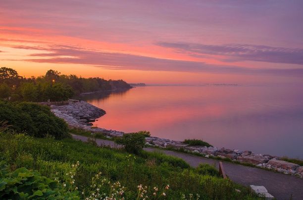 For Lease - 365 Rouge Hills Drive, Toronto, Ontario - Photo 1