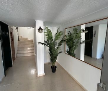 Ενοικίαση κατοικίας, 110 τ.μ., Άρτεμις, 800 € - Photo 4