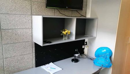 Furnished Apartment - Photo 3
