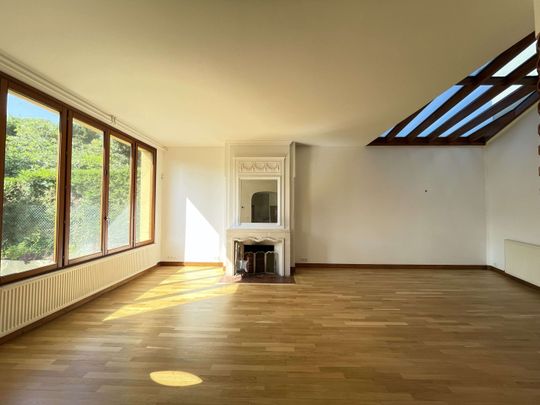 Tout savoir sur cette maison à Sèvres - Photo 1