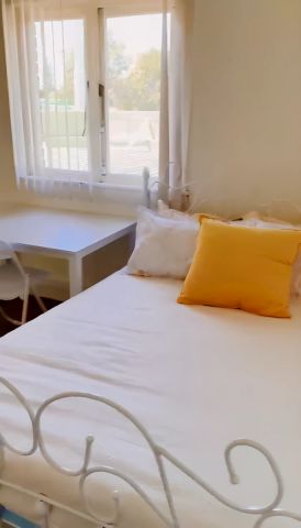 2 bed 1 bath-single room 1 - Photo 3