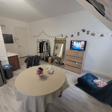 Location Appartement 1 pièce 28m² DOUAI 59500 - Photo 4