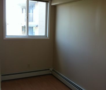 Very nice 1 bdrm + 1 den apartment in China Town! - Photo 3