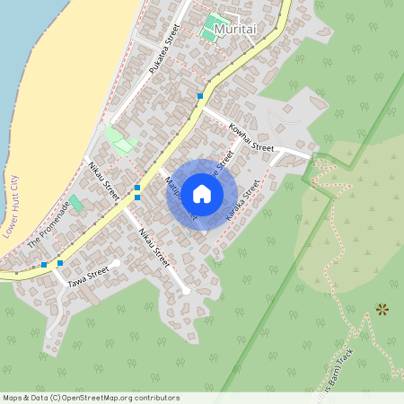 4 Mahoe Street, Lower Hutt, Lower Hutt