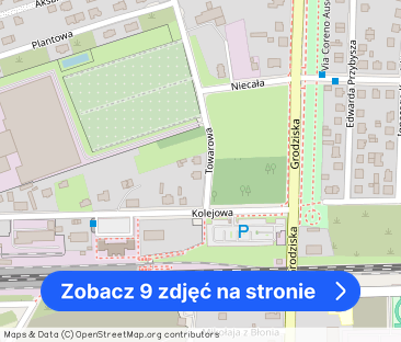 OSTATNIE MIESZKANIE Z OGRODEM - BŁONIE W OKOLICY PKP - Zdjęcie 1