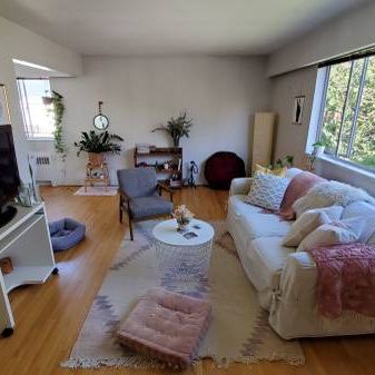 Pet Friendly Large Bright 1 bedroom available Sept 15! - Photo 1