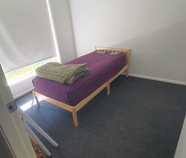 Port Macquarie - Photo 3