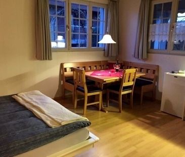 APPARTEMENT 1 PIÈCE À OBERGÖSGEN (DIM), MEUBLÉ - Photo 6