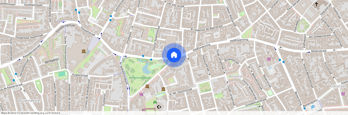 Theresia West, 5041 EE, Wilhelminapark, Tilburg