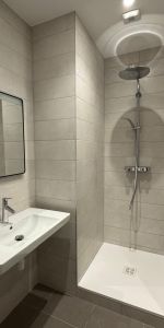 Location Appartement 6 pièces 153m² STRASBOURG 67000 - Photo 3