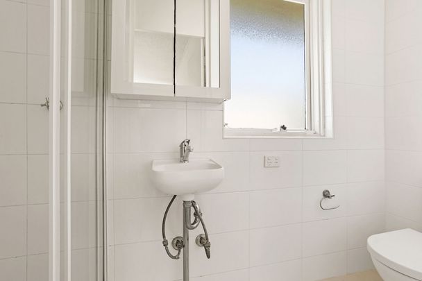 11/20 Alexandra Road, Glebe NSW 2037 - Studio For Rent | Domain - Photo 1