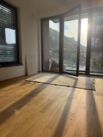 Pronájem bytu 2+kk • 51 m² bez realitkyŠvarcova, Praha - Karlín - Photo 2