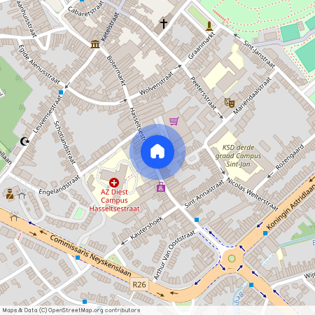 Hasseltsestraat 28 / 3, 3290 Diest